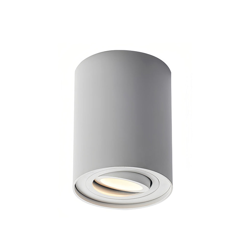 BLACKTHORN CYLINDRICAL LED SURFACE LIGHTING FIXTURE