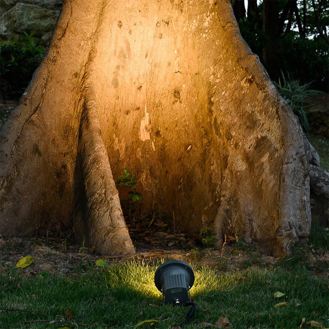 WINDSOR GROVE ILLUMINATION SPOTLIGHTS FOR ARBOREAL DISPLAY