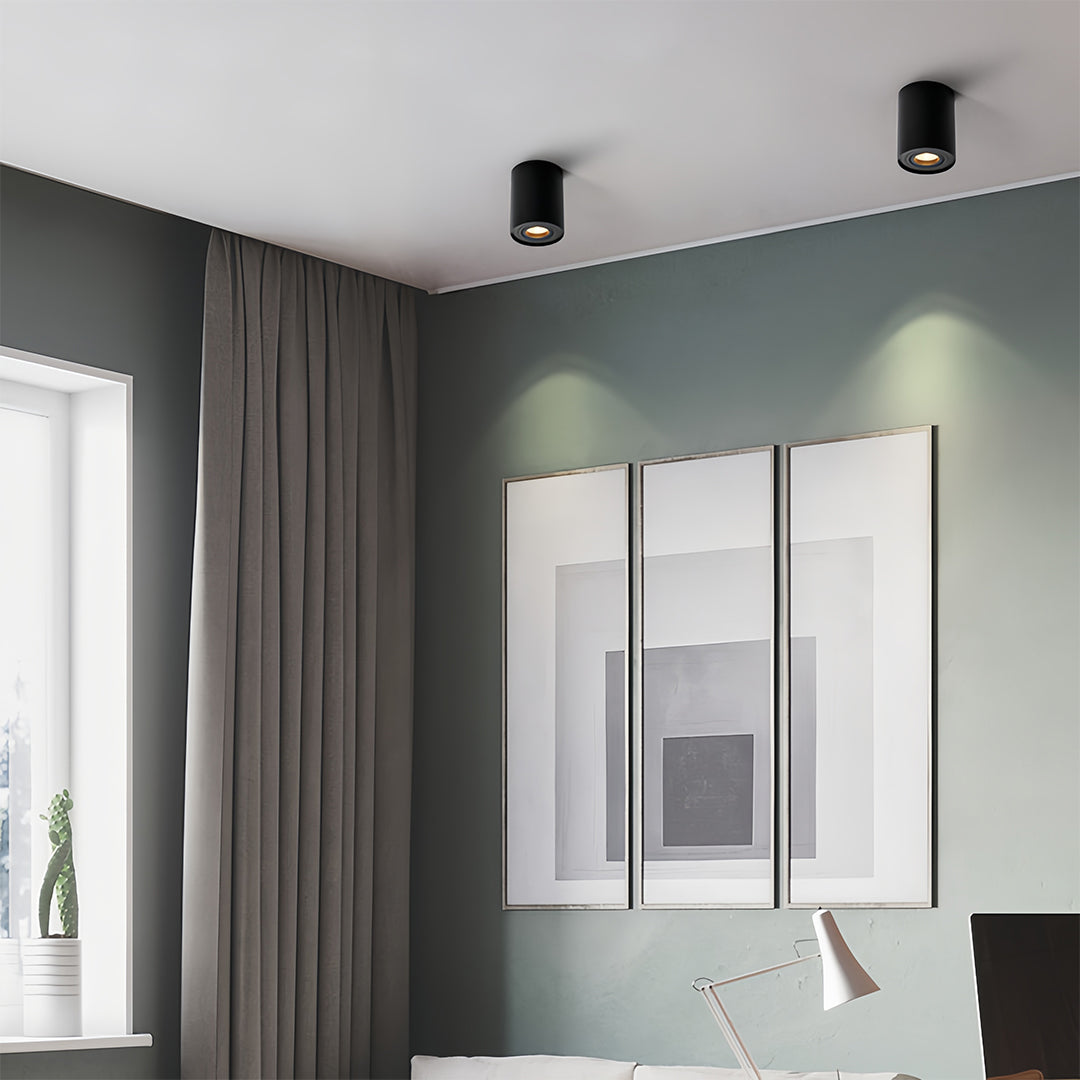 BLACKTHORN CYLINDRICAL LED SURFACE LIGHTING FIXTURE