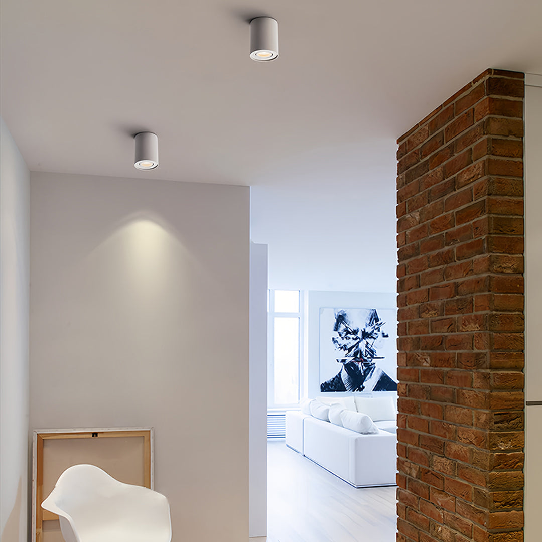 BLACKTHORN CYLINDRICAL LED SURFACE LIGHTING FIXTURE