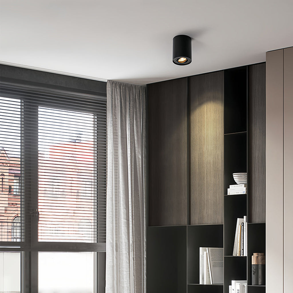 BLACKTHORN CYLINDRICAL LED SURFACE LIGHTING FIXTURE