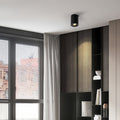 BLACKTHORN CYLINDRICAL LED SURFACE LIGHTING FIXTURE