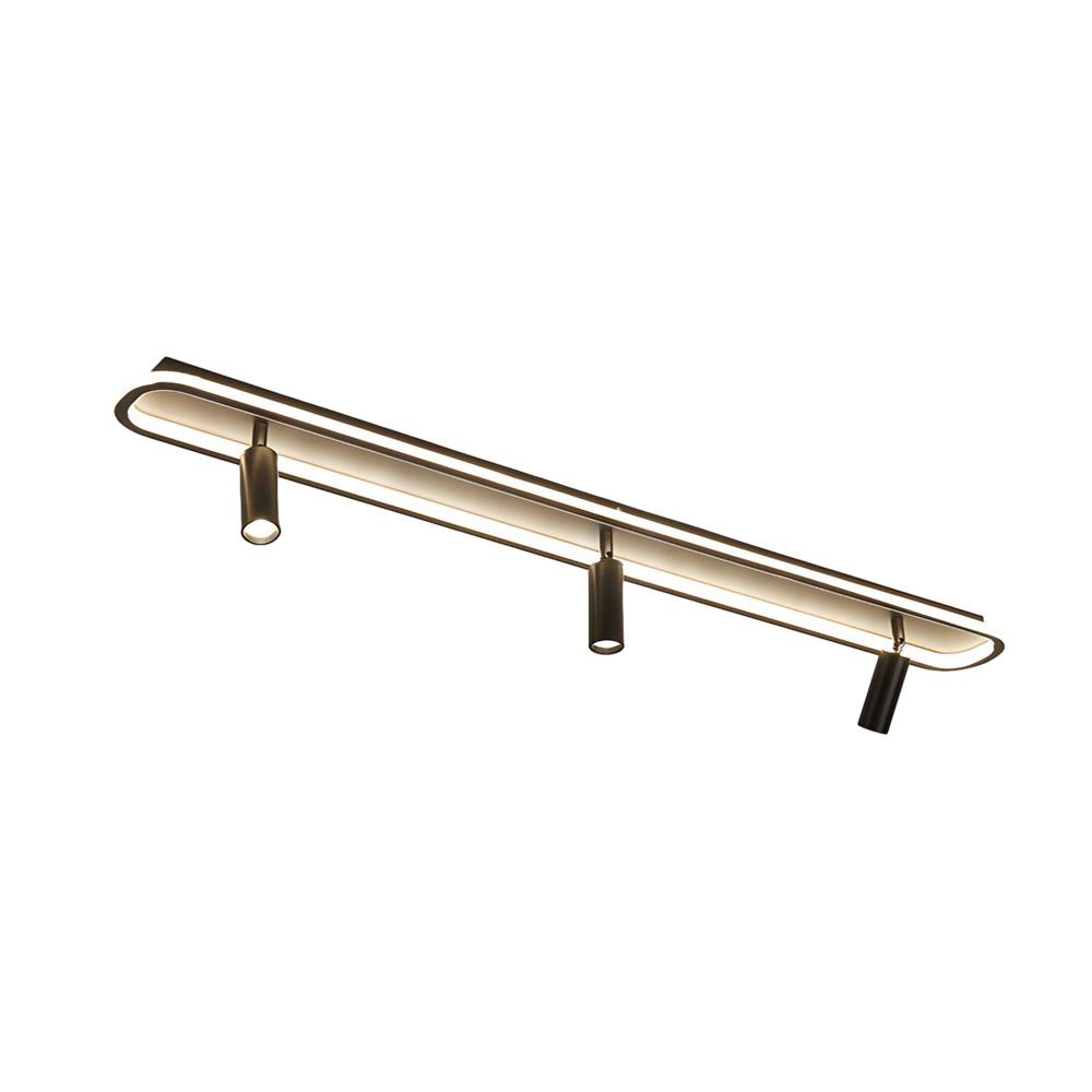 WINCHESTER RECTANGULAR LED CEILING LUMINAIRE WITH FOCAL SPOTLIGHT