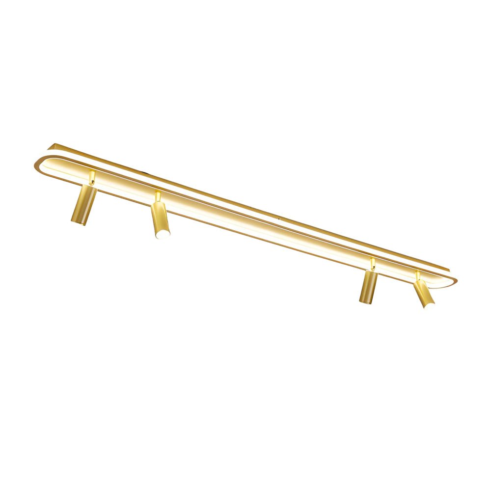WINCHESTER RECTANGULAR LED CEILING LUMINAIRE WITH FOCAL SPOTLIGHT