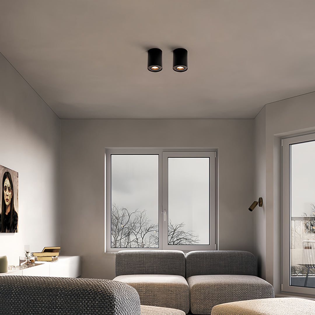 BLACKTHORN CYLINDRICAL LED SURFACE LIGHTING FIXTURE