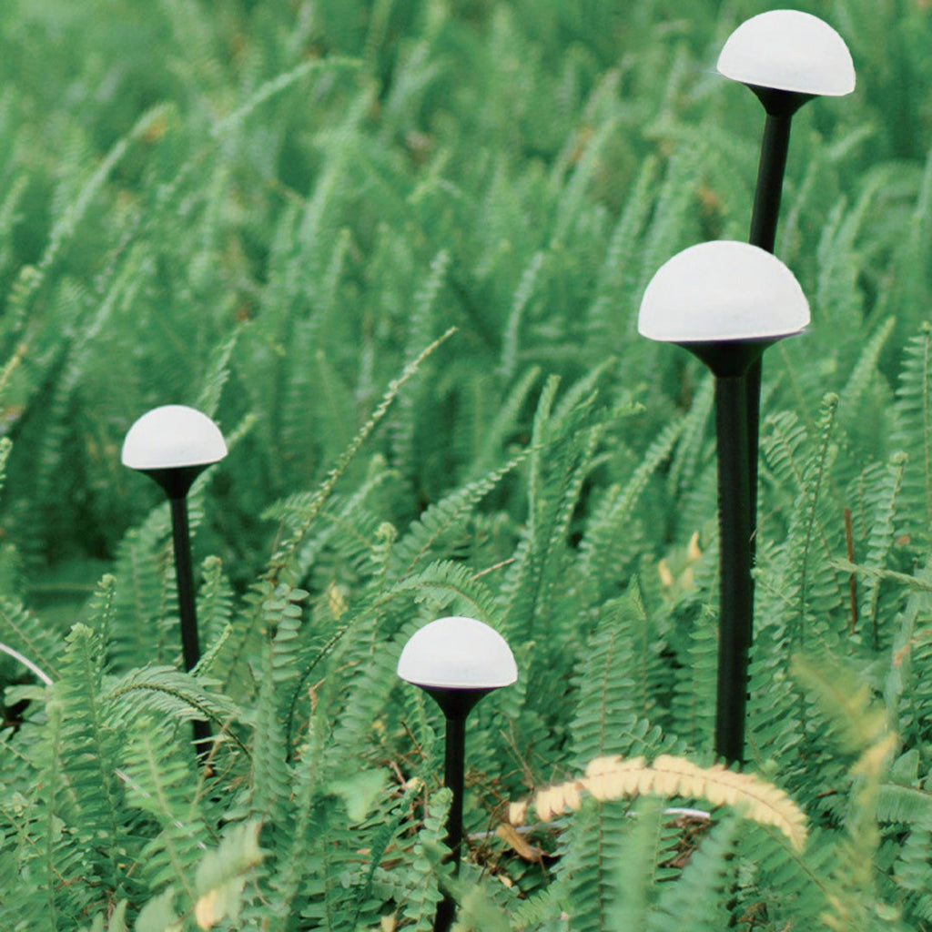 FENWICK GARDEN GLOW OUTDOOR LANTERNS