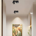 WINDSOR TWIN-HEAD ROTATING CEILING SPOTLIGHT IN BLACK AND WHITE