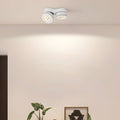 WINTHORPE DUAL-AXIS CEILING SPOTLIGHT IN ONYX AND IVORY