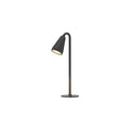WINDSOR GARDEN PATHWAY ILLUMINATOR - Contemporary Waterproof Outdoor Light
