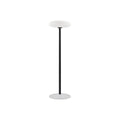 WINTHROP SOLAR-POWERED OUTDOOR LANTERN WITH ALUMINUM AND PE CONSTRUCTION