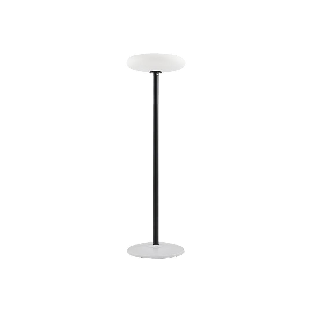 WINTHROP SOLAR-POWERED OUTDOOR LANTERN WITH ALUMINUM AND PE CONSTRUCTION