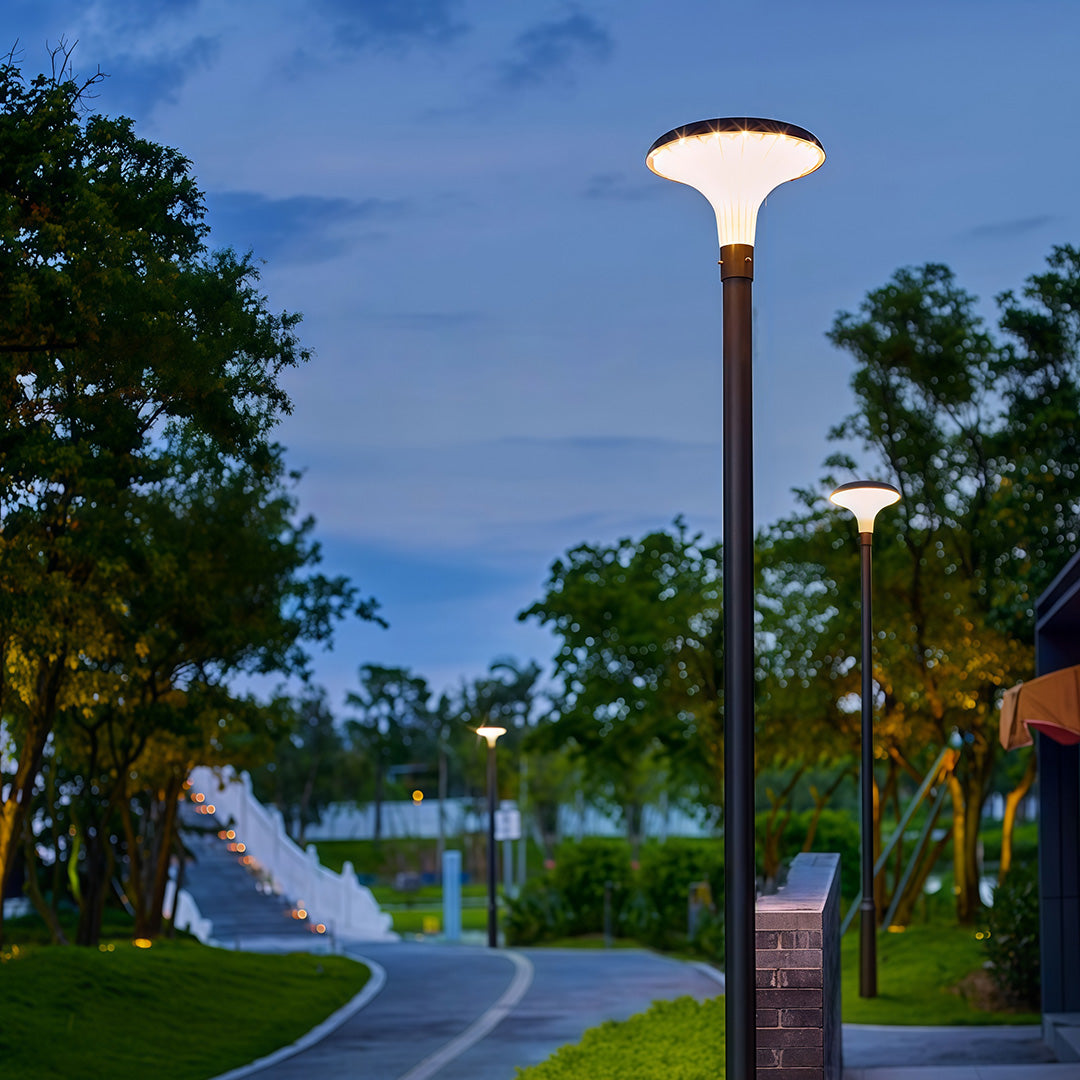 WINTERBOURNE SOLAR-POWERED HIGH POLE ILLUMINATOR
