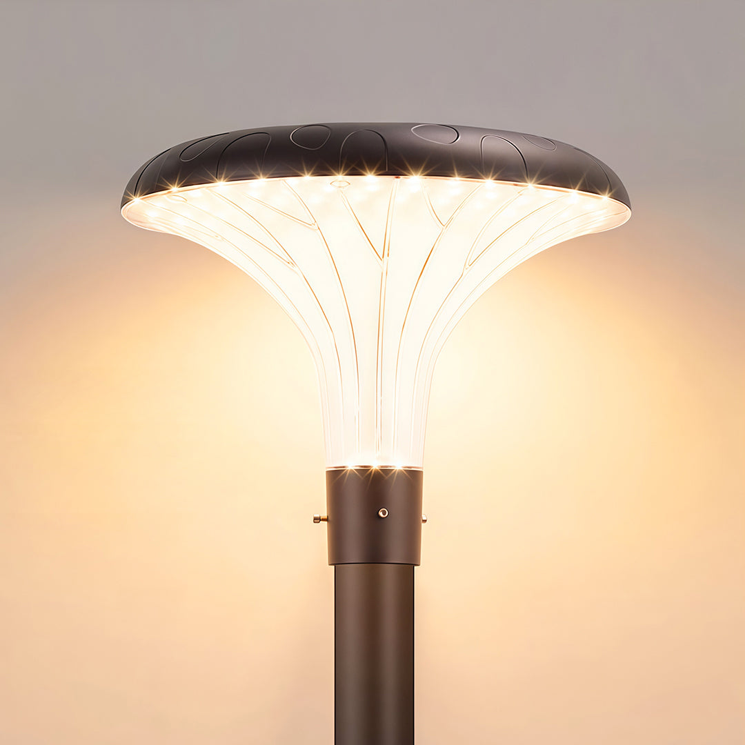 WINTERBOURNE SOLAR-POWERED HIGH POLE ILLUMINATOR