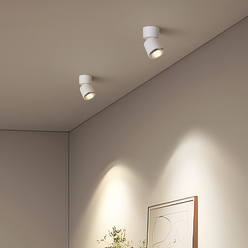 WINDSOR 360° ADJUSTABLE LED SPOTLIGHT WITH ANTI-GLARE BAFFLE