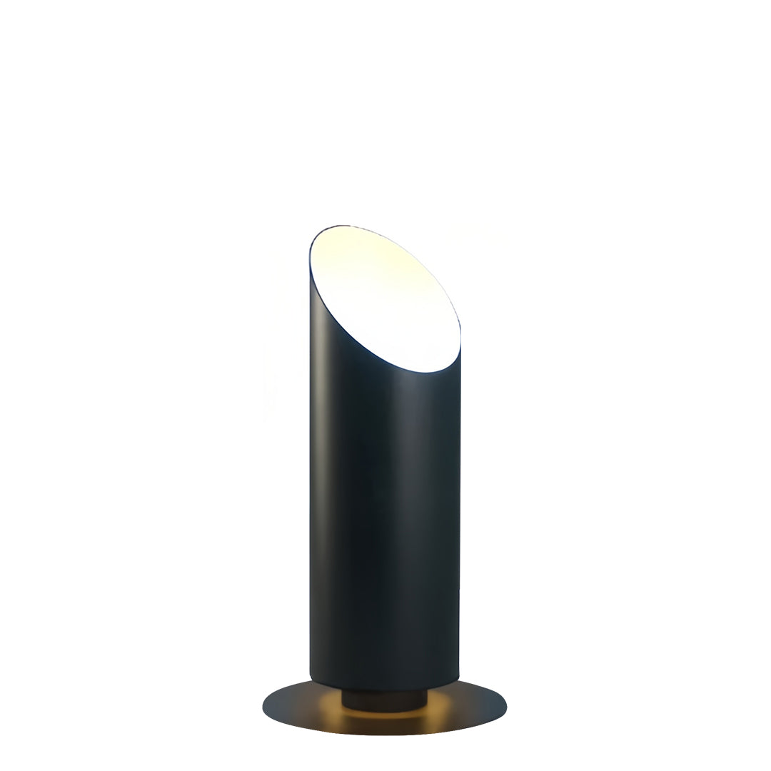 RAVENWOOD NIGHTSCAPE TREE ILLUMINATOR, WEATHERPROOF BLACK OUTDOOR LIGHT