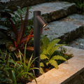 WHITFORD BAMBOO NODE OUTDOOR LED ILLUMINATOR