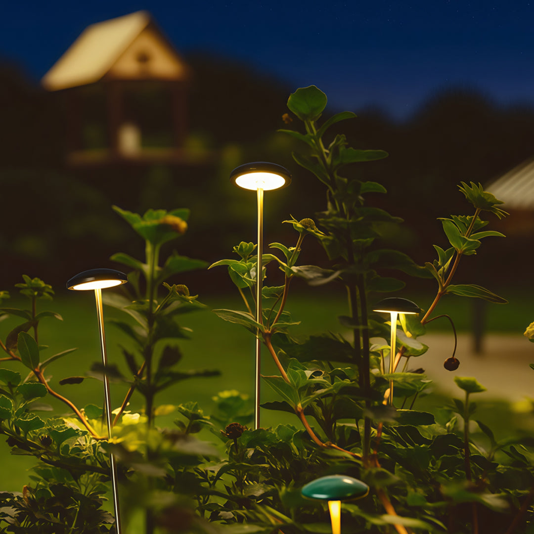 WINDSOR PATHWAY ILLUMINATOR - MINIMALIST LANDSCAPE LIGHTING