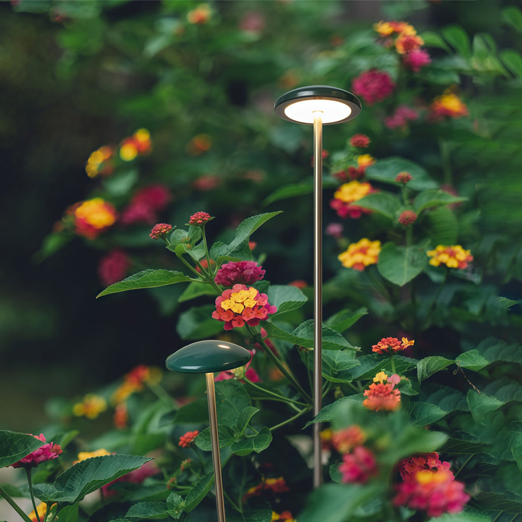 WINDSOR PATHWAY ILLUMINATOR - MINIMALIST LANDSCAPE LIGHTING