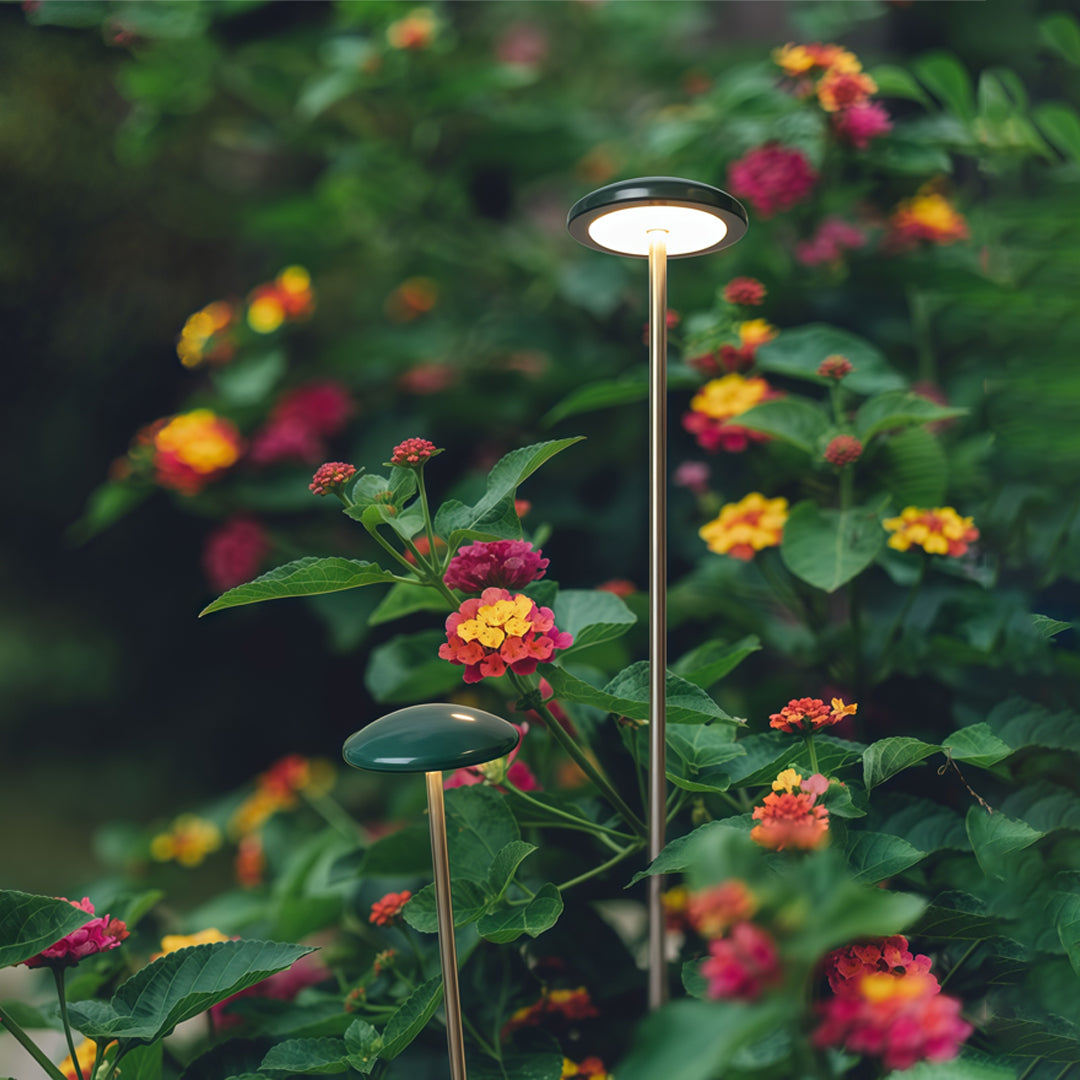 WINDSOR PATHWAY ILLUMINATOR - MINIMALIST LANDSCAPE LIGHTING