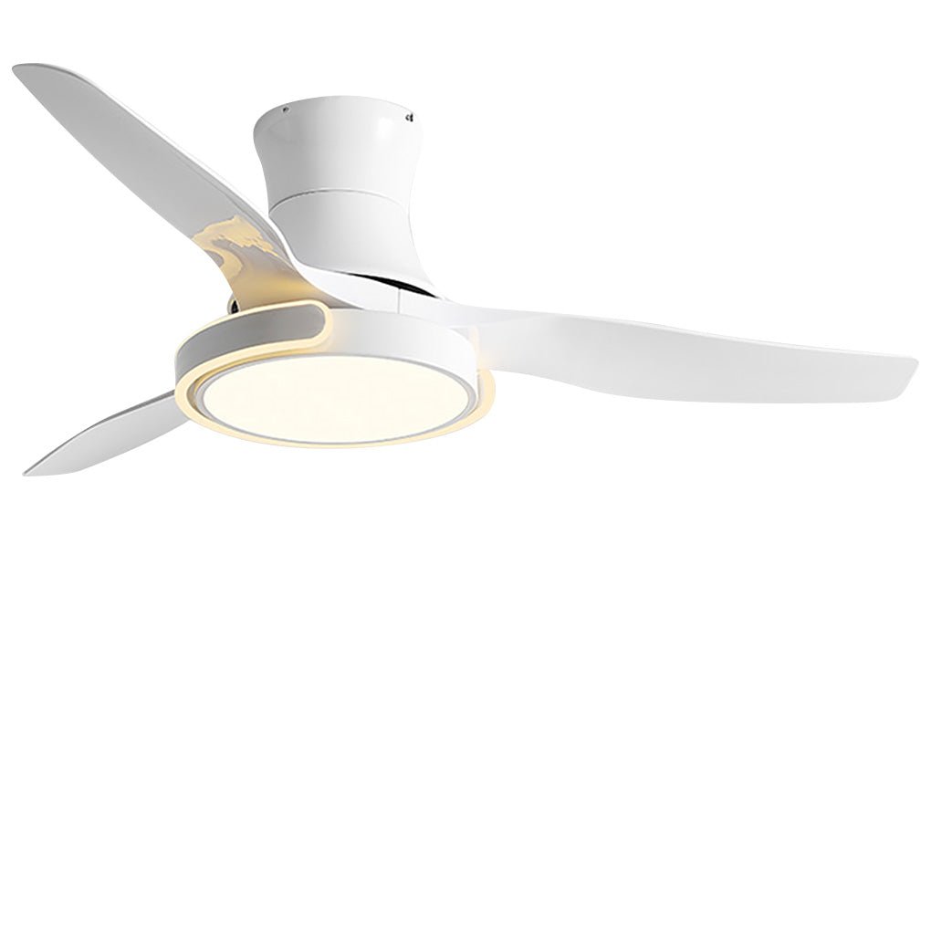 WINTHROP VARIABLE DIMMER CEILING FAN LIGHT WITH REMOTE CONTROL AND REVERSIBLE FUNCTION