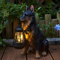 WINTERBOURNE SOLAR-ILLUMINATED CANINE LANTERN SCULPTURE