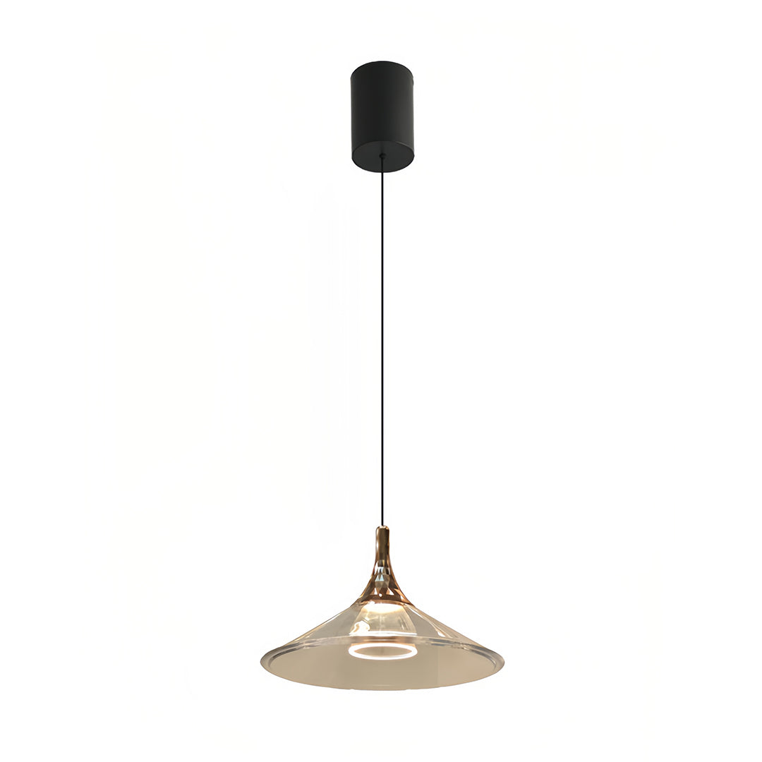 WINDSOR ACRYLIC DROP CEILING LANTERN