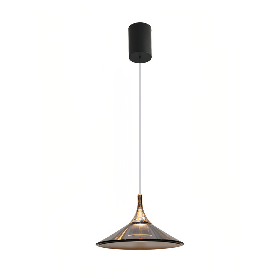 WINDSOR ACRYLIC DROP CEILING LANTERN