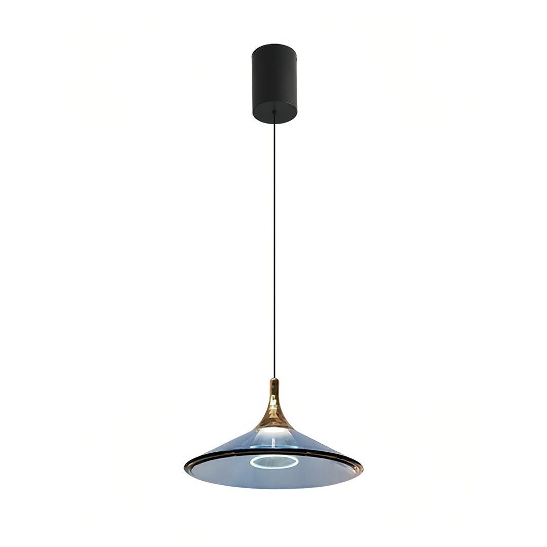 WINDSOR ACRYLIC DROP CEILING LANTERN