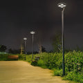 WINDSOR CIRCLE AQUA-RESISTANT LED LANTERN WITH DUAL ARMS