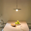 WINDSOR GLASS ORB LUMINAIRE WITH IRON FRAME