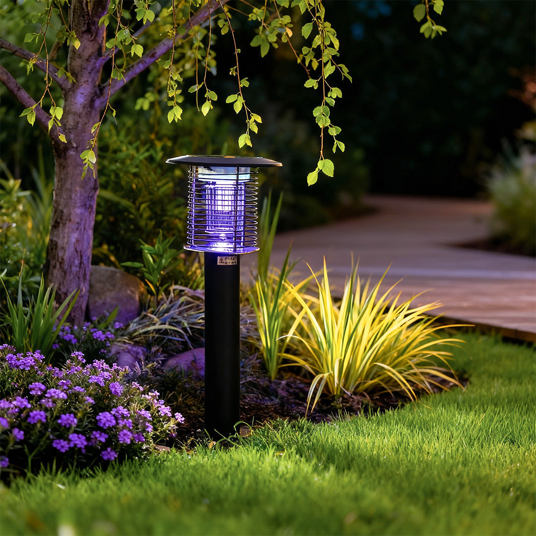 CHARLESTON PURPLE GLOW SOLAR INSECT TRAP LANTERN