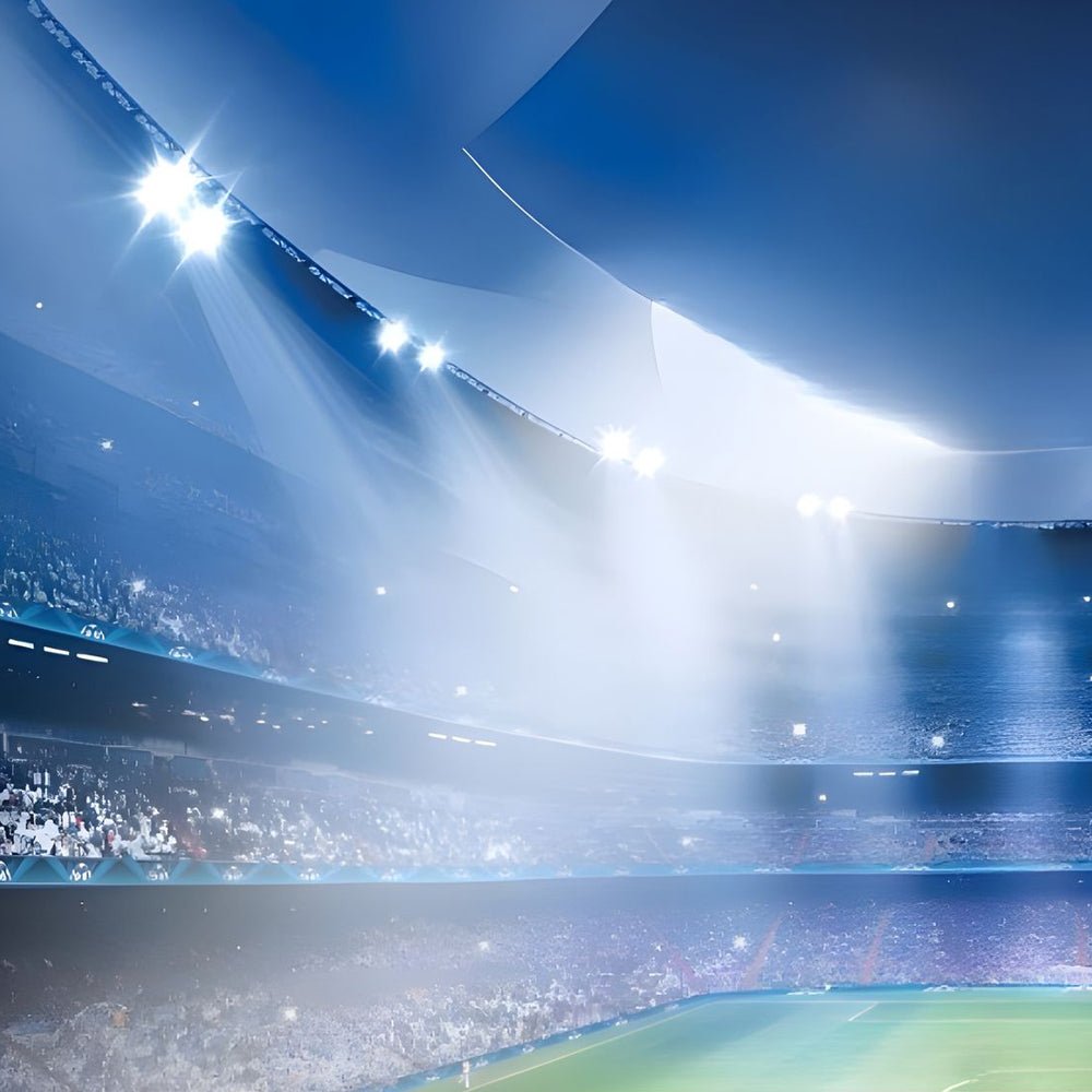 WINDSOR BRIGHTFIELD POWER FLOODLIGHTS FOR OUTDOOR ARENAS