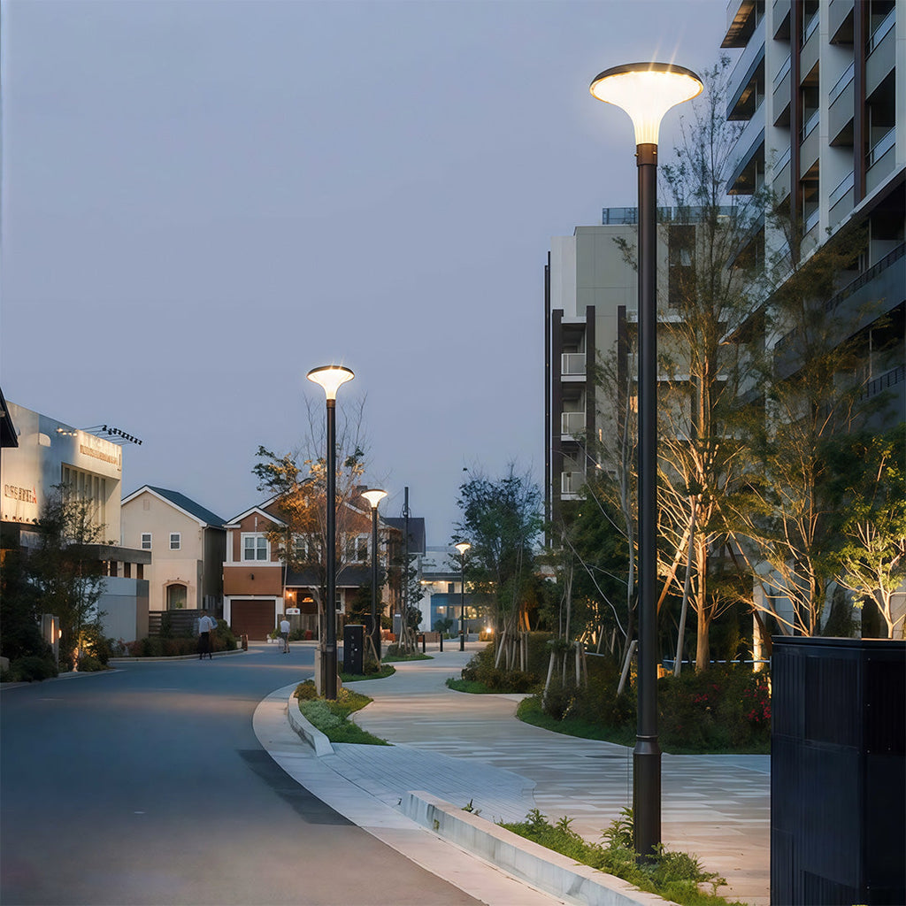 WINTERBOURNE SOLAR-POWERED HIGH POLE ILLUMINATOR