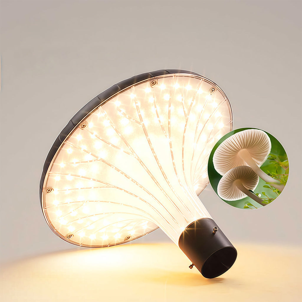 WINTERBOURNE SOLAR-POWERED HIGH POLE ILLUMINATOR