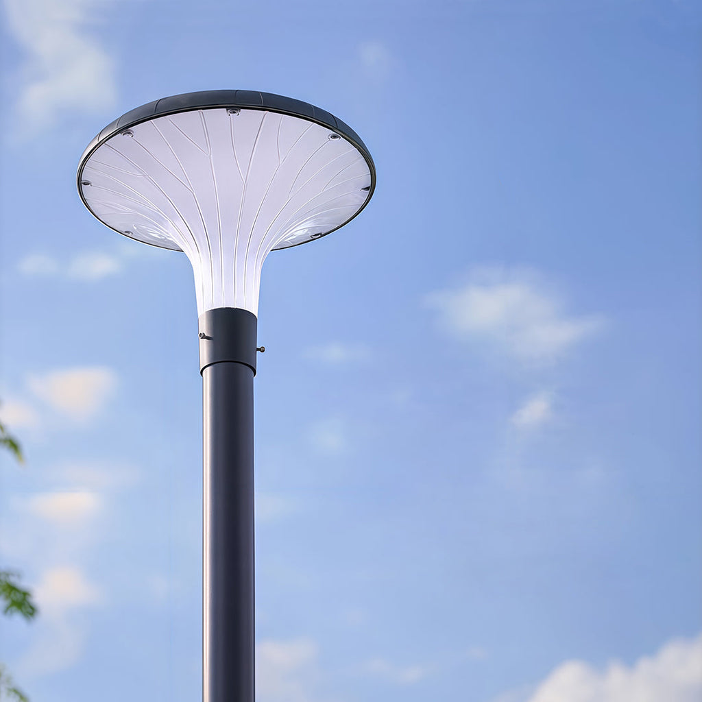 WINTERBOURNE SOLAR-POWERED HIGH POLE ILLUMINATOR