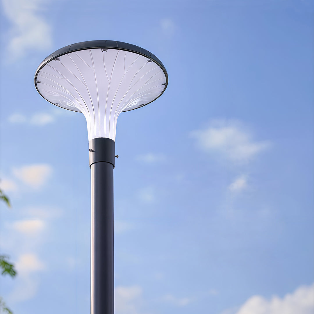 WINTERBOURNE SOLAR-POWERED HIGH POLE ILLUMINATOR