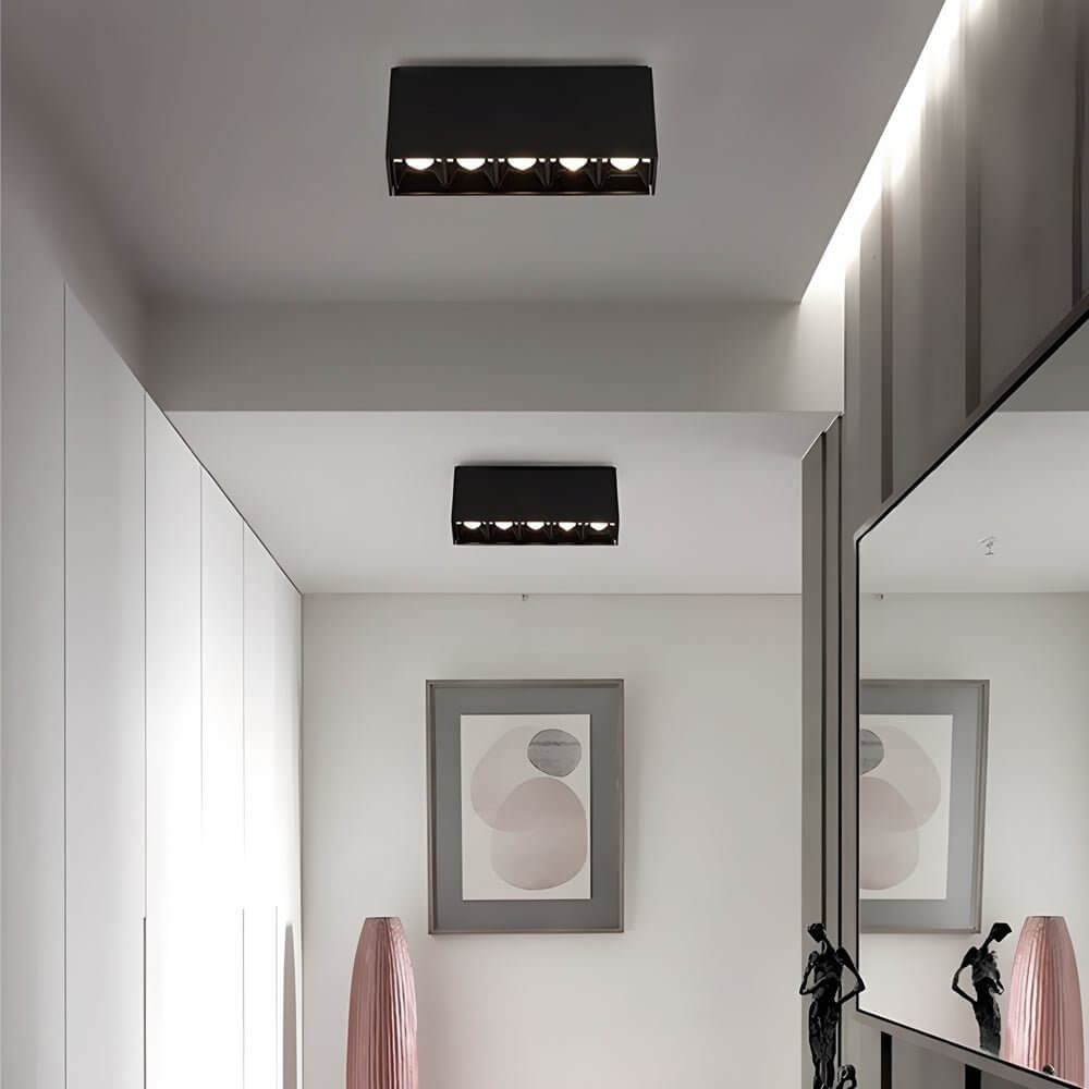 WINTHORPE SLIMLINE LED CEILING ILLUMINATOR