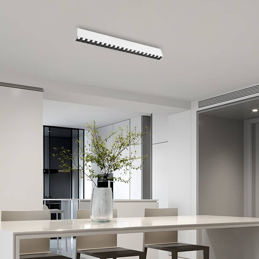 WINTHORPE SLIMLINE LED CEILING ILLUMINATOR