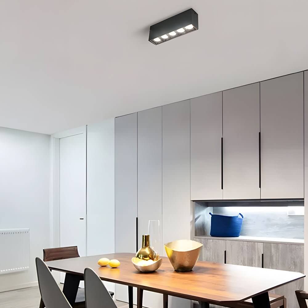 WINTHORPE SLIMLINE LED CEILING ILLUMINATOR