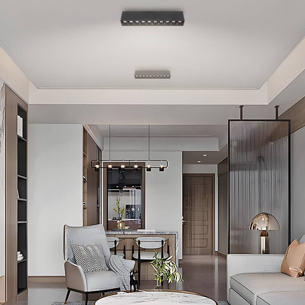 WINTHORPE SLIMLINE LED CEILING ILLUMINATOR