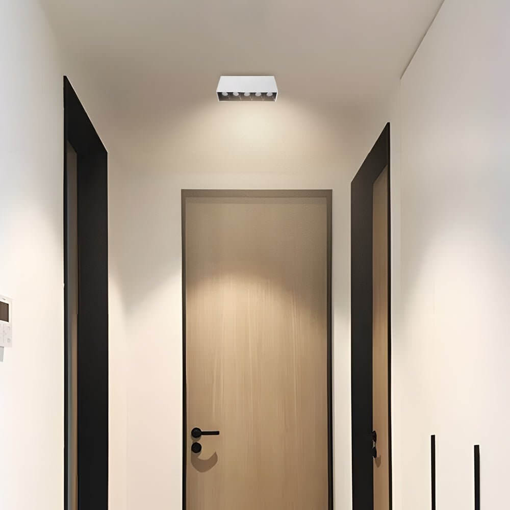 WINTHORPE SLIMLINE LED CEILING ILLUMINATOR