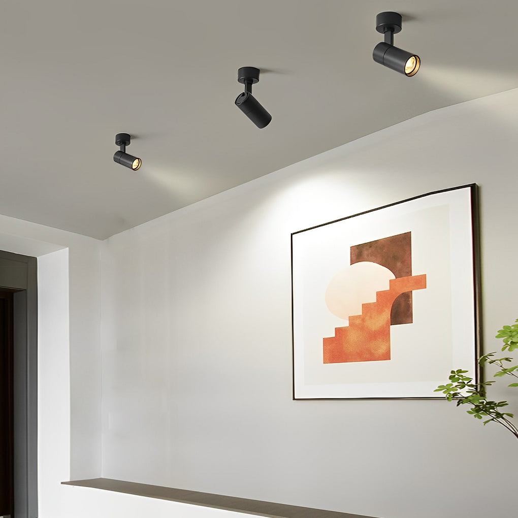 RAVENHALL SWIVEL SPOTLIGHT WITH ADJUSTABLE ANGLE