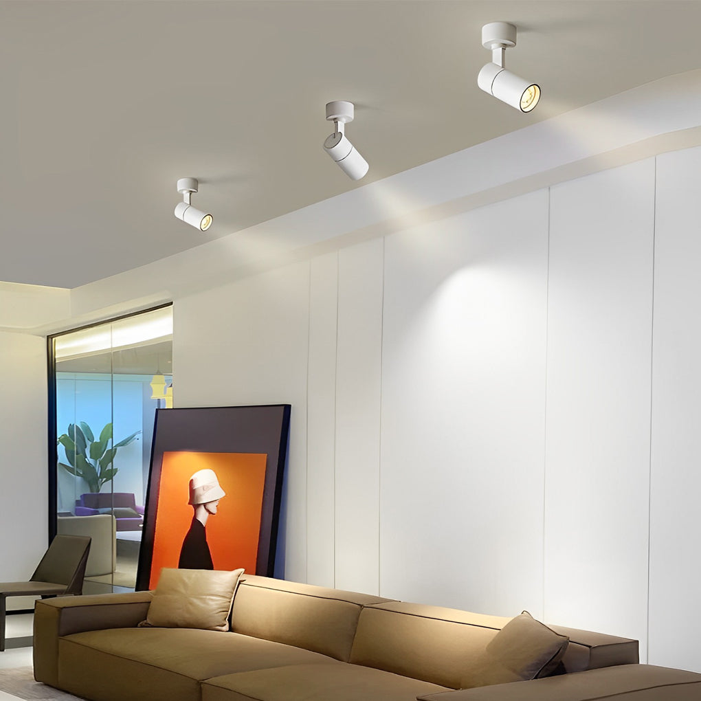 RAVENHALL SWIVEL SPOTLIGHT WITH ADJUSTABLE ANGLE