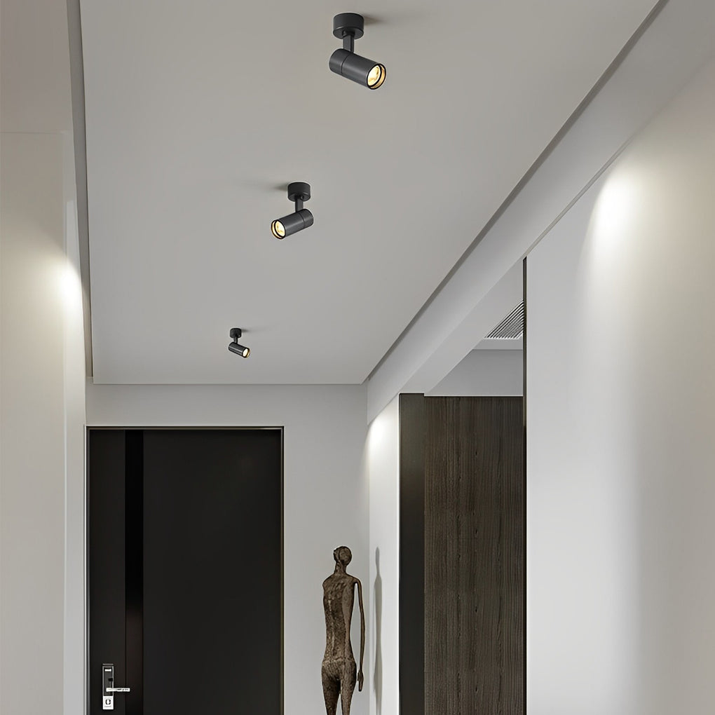 RAVENHALL SWIVEL SPOTLIGHT WITH ADJUSTABLE ANGLE