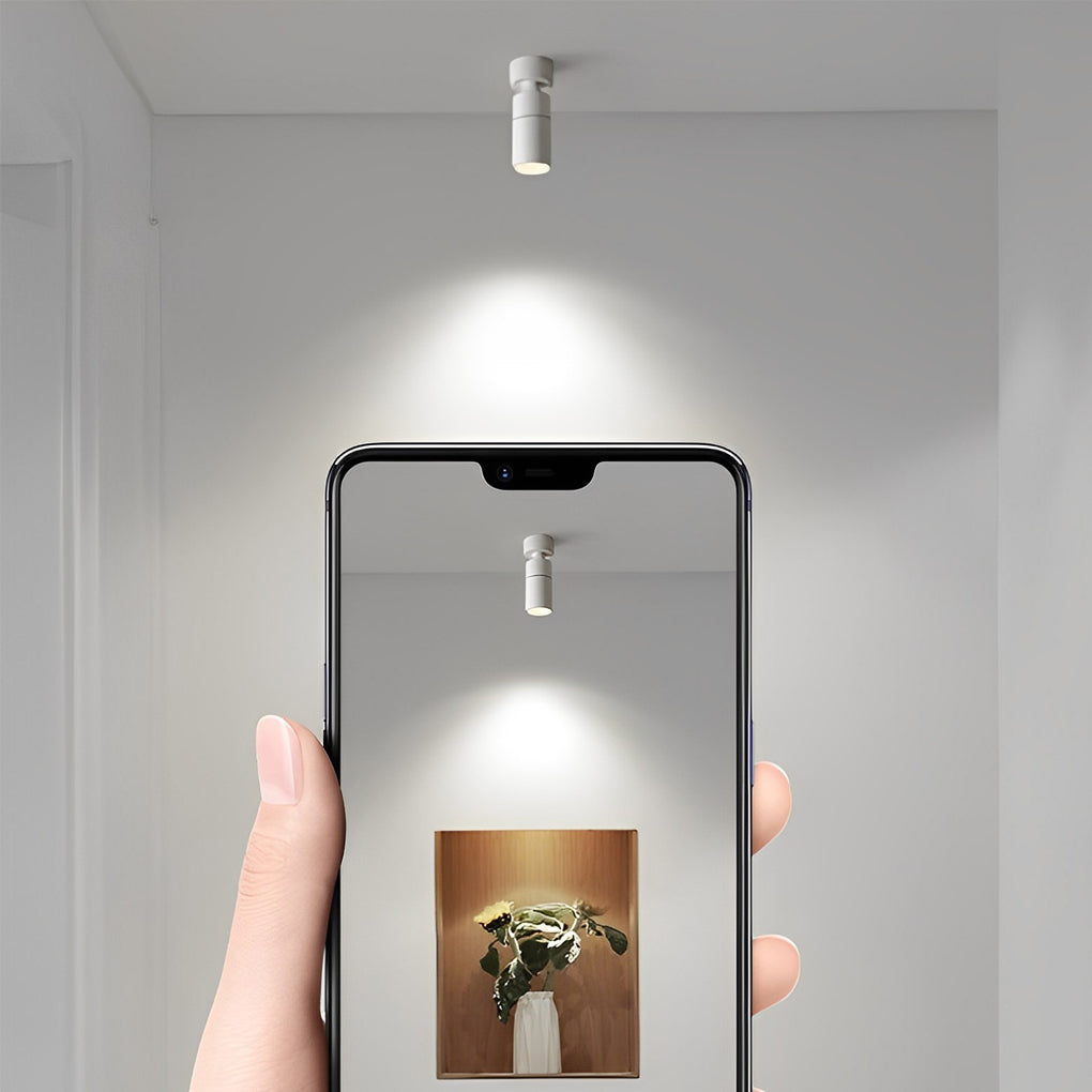 RAVENHALL SWIVEL SPOTLIGHT WITH ADJUSTABLE ANGLE