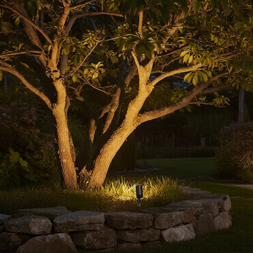 **WILLOUGHBY GLOWING GROVE LIGHTS**  
Illuminate your garden with these stylish LED spotlights, designed to enhance the natural beauty of your landscape while providing focused ground lighting.

**MONTAGUE RADIANT TREE SPOTLIGHTS**  
Transform your outdoo