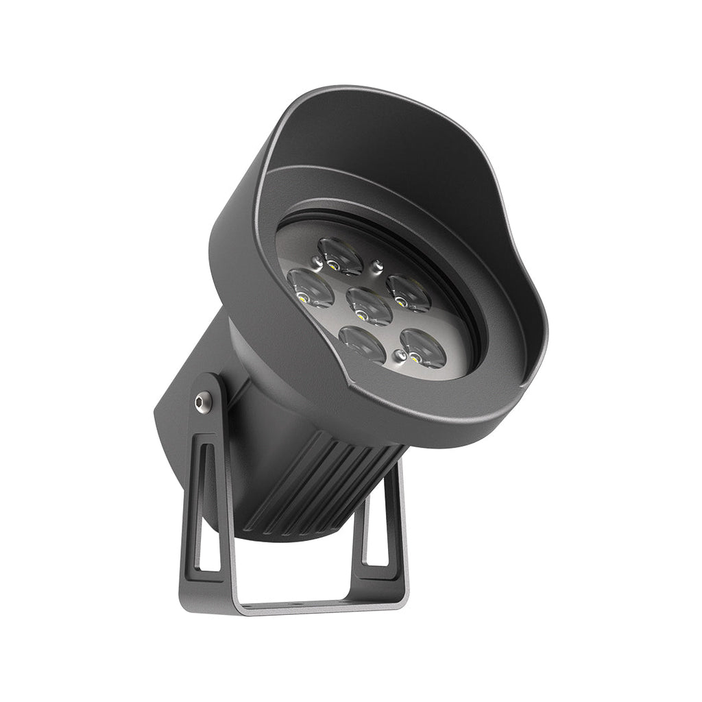 WINDSOR GROVE ILLUMINATION SPOTLIGHTS FOR ARBOREAL DISPLAY