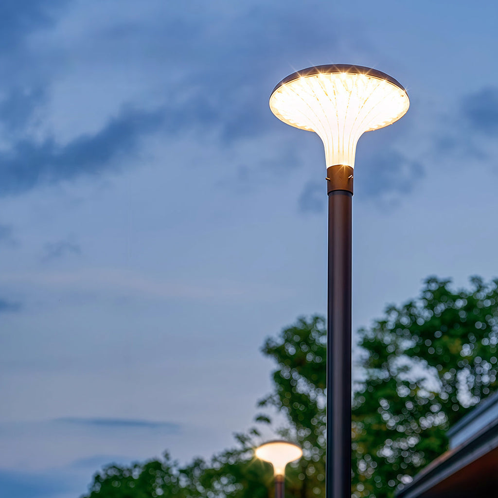 WINTERBOURNE SOLAR-POWERED HIGH POLE ILLUMINATOR