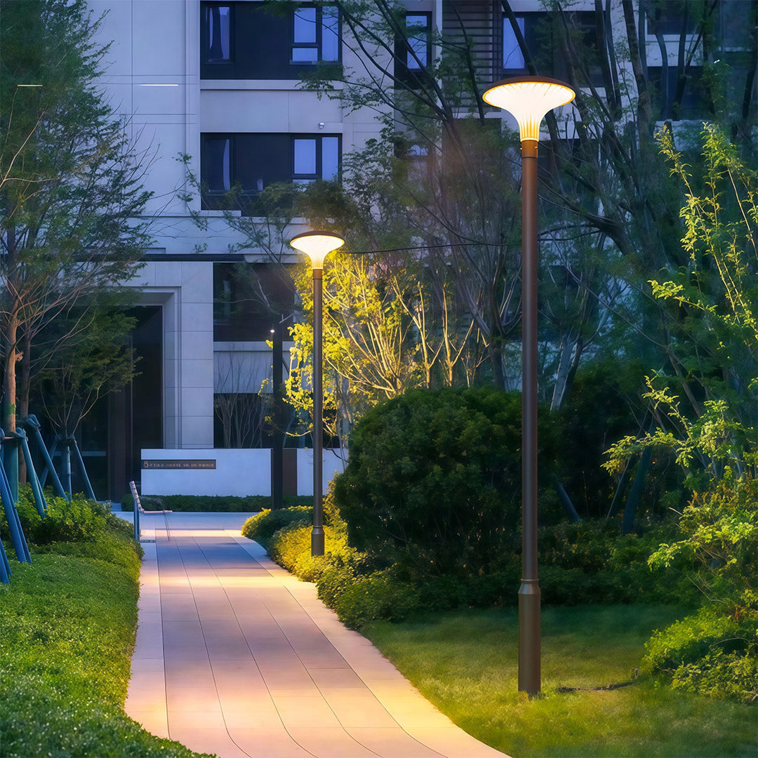 WINTERBOURNE SOLAR-POWERED HIGH POLE ILLUMINATOR