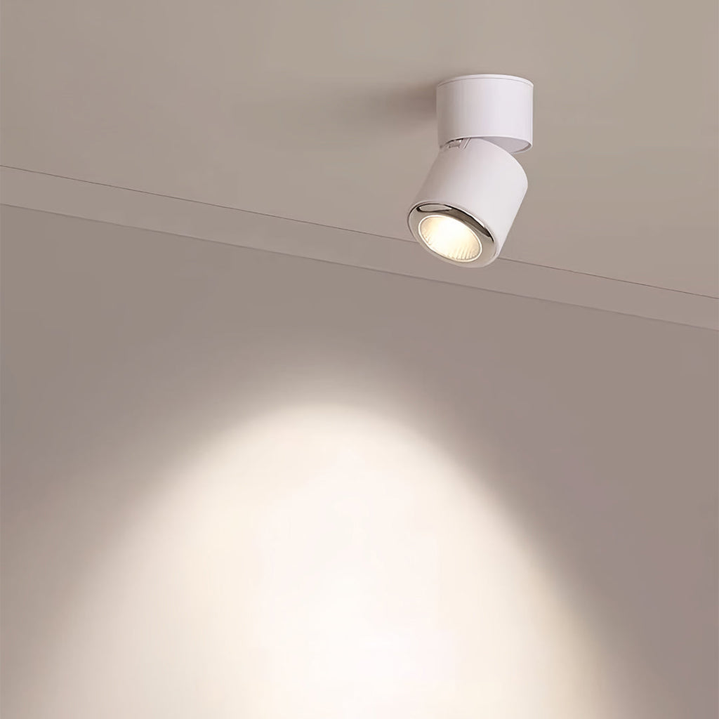 WINDSOR 360° ADJUSTABLE LED SPOTLIGHT WITH ANTI-GLARE BAFFLE